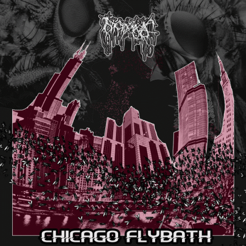 Nyctophagia : Chicago Flybath